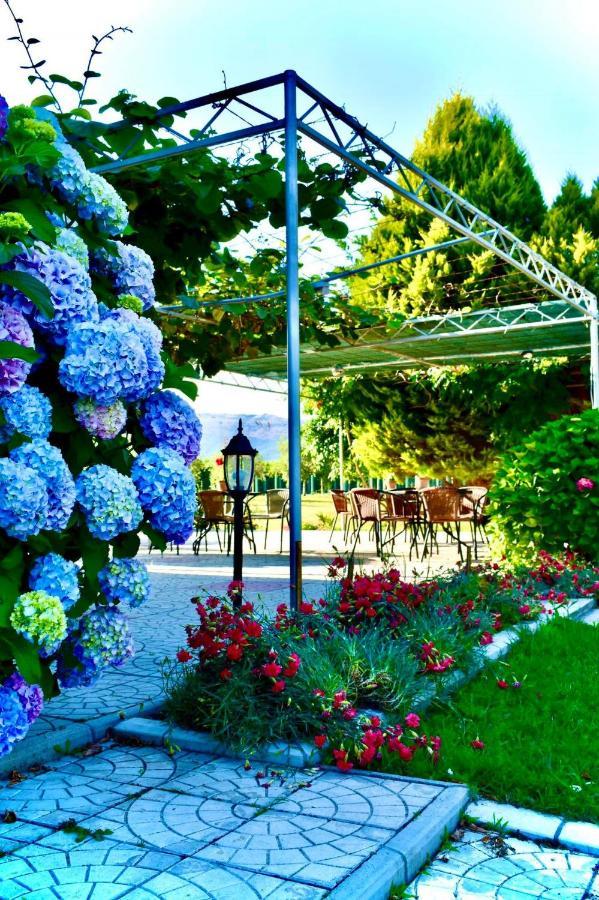 Casa Nita Apartment Ulcinj Ngoại thất bức ảnh