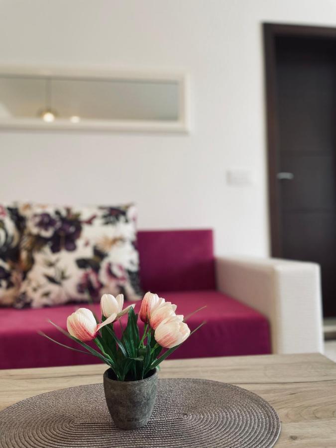 Casa Nita Apartment Ulcinj Ngoại thất bức ảnh